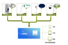 在番石榴的種植中，農(nóng)業(yè)四情監(jiān)測(cè)系統(tǒng)有何作用？